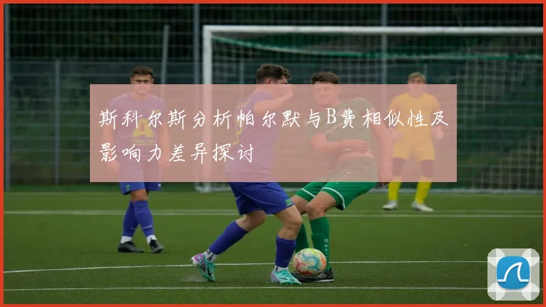 斯科尔斯分析帕尔默与B费相似性及影响力差异探讨
